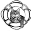 Vancouver Orphan Kitten Rescue Association - VOKRA