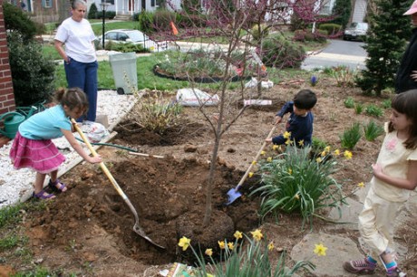 COMMUNITY PROJECT PHOTO